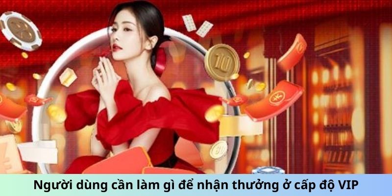 Người dùng cần làm gì để nhận thưởng ở cấp độ VIP