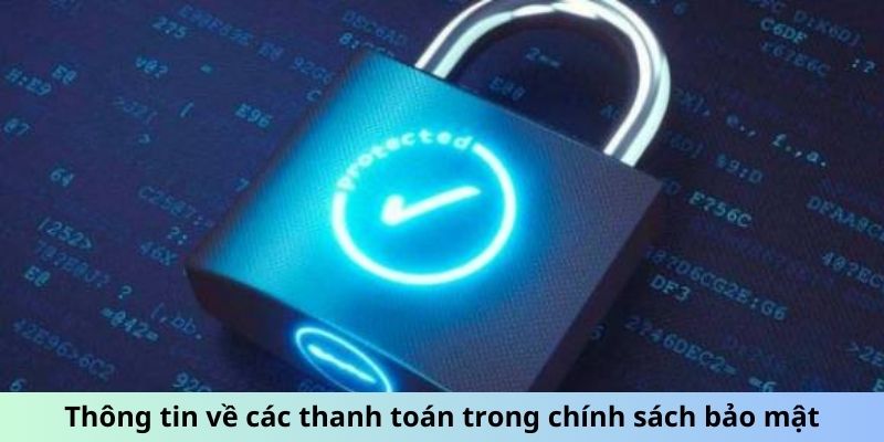 Thông tin về các thanh toán trong chính sách bảo mật