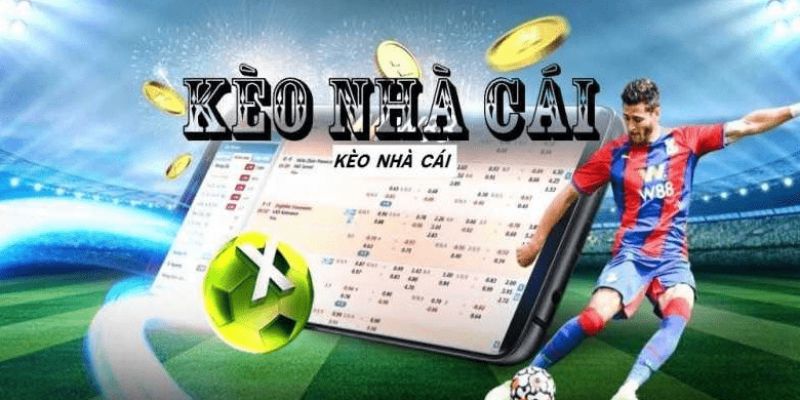 Cách đọc các thuật ngữ riêng khi sử dụng kèo nhà cái 98win